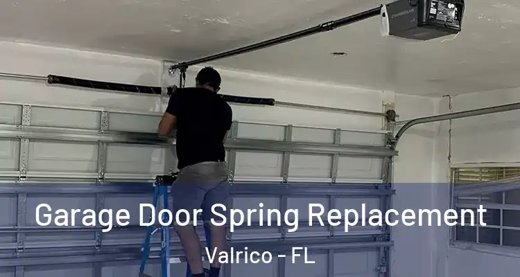  Garage Door Spring Replacement Valrico - FL