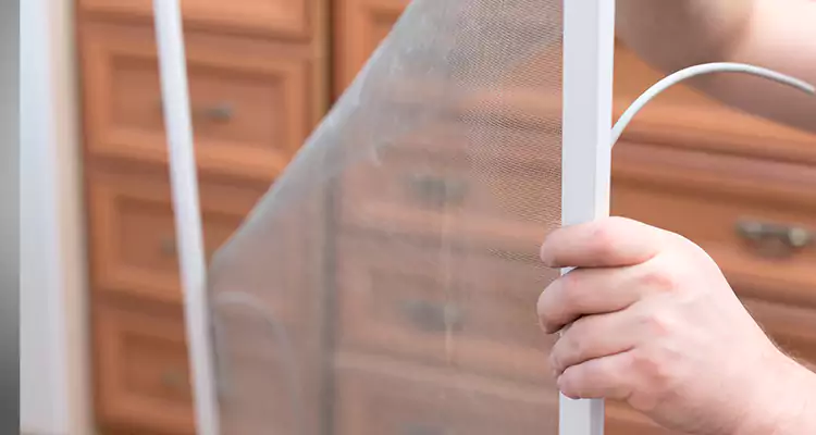 Privacy Mesh Screen Door Installation in Valrico, FL